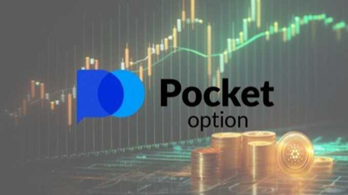 Your Guide to Pocket Option Account Management Your Guide to Pocket Option Account Management