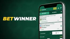 Explore BetWinner Betting Platform Your Gateway to Exciting Sports Betting